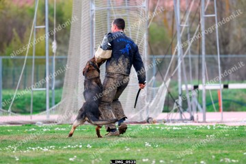 L_IMG_0523.jpg