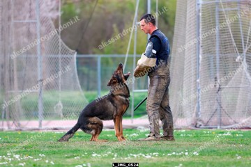 L_IMG_0524.jpg