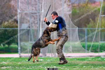 L_IMG_0526.jpg