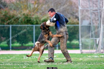 L_IMG_0527.jpg