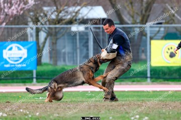 L_IMG_0532.jpg