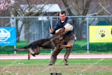 L_IMG_0533.jpg
