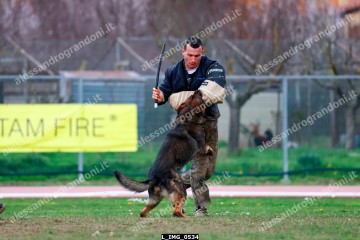 L_IMG_0534.jpg