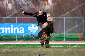 L_IMG_0541.jpg