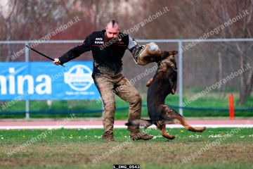 L_IMG_0542.jpg