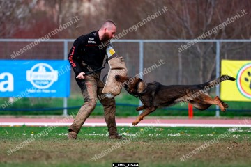 L_IMG_0544.jpg