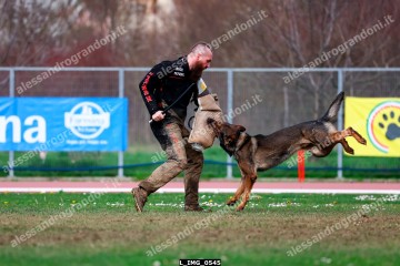 L_IMG_0545.jpg