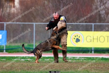 L_IMG_0548.jpg