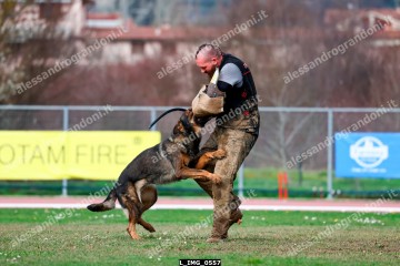 L_IMG_0557.jpg