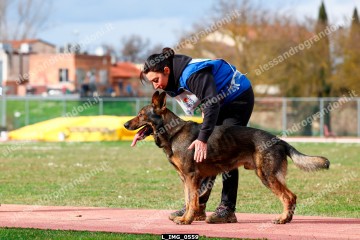 L_IMG_0559.jpg