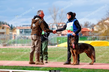 L_IMG_0561.jpg