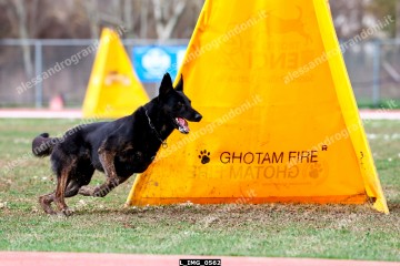 L_IMG_0562.jpg