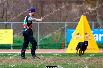 L_IMG_0563.jpg
