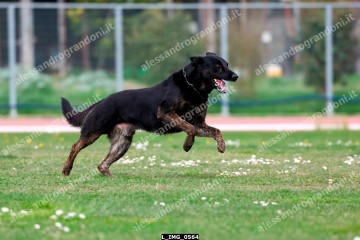 L_IMG_0564.jpg