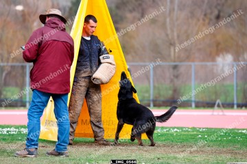 L_IMG_0566.jpg