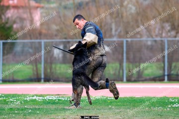 L_IMG_0569.jpg