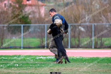L_IMG_0570.jpg