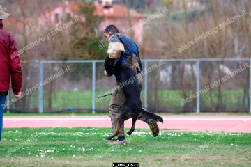 L_IMG_0571.jpg