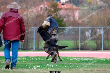 L_IMG_0572.jpg