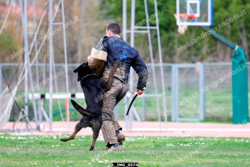 L_IMG_0574.jpg