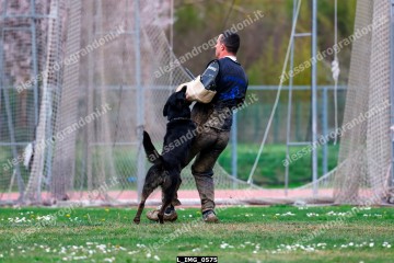 L_IMG_0575.jpg