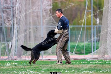 L_IMG_0576.jpg