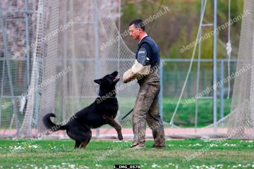 L_IMG_0578.jpg