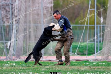L_IMG_0579.jpg