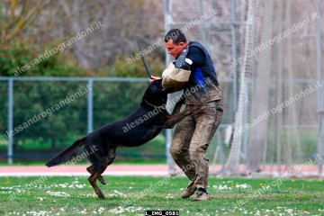 L_IMG_0581.jpg