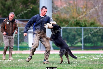 L_IMG_0585.jpg