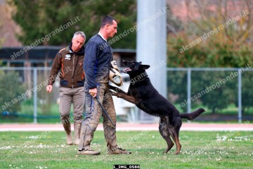 L_IMG_0586.jpg