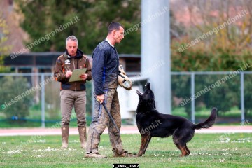 L_IMG_0587.jpg