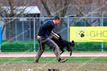 L_IMG_0590.jpg