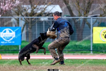 L_IMG_0591.jpg