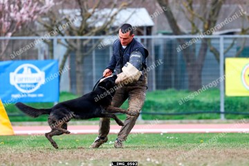 L_IMG_0592.jpg