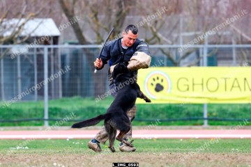 L_IMG_0593.jpg