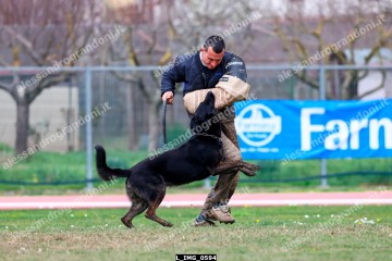 L_IMG_0594.jpg