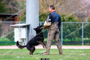 L_IMG_0596.jpg