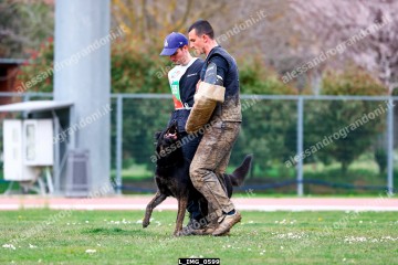 L_IMG_0599.jpg