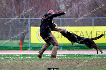 L_IMG_0602.jpg