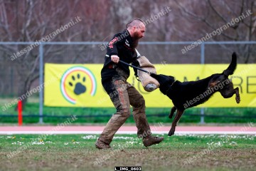 L_IMG_0603.jpg