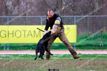 L_IMG_0607.jpg