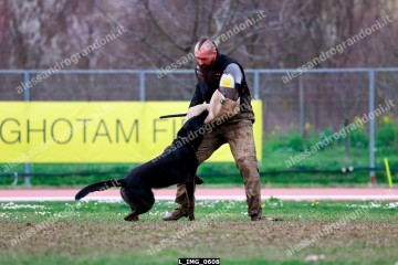 L_IMG_0608.jpg