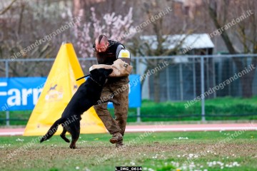 L_IMG_0614.jpg