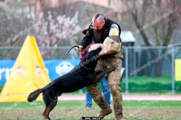 L_IMG_0623.jpg