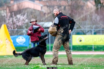 L_IMG_0625.jpg
