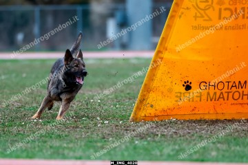 M_IMG_4020.jpg