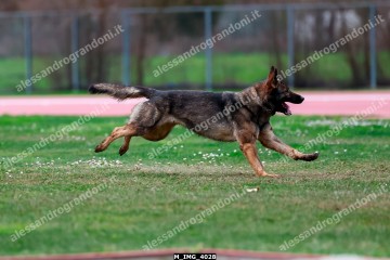 M_IMG_4028.jpg