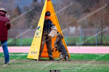 M_IMG_4035.jpg