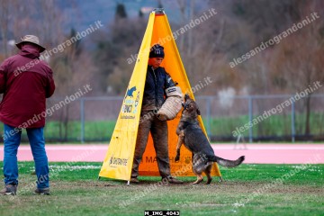 M_IMG_4043.jpg
